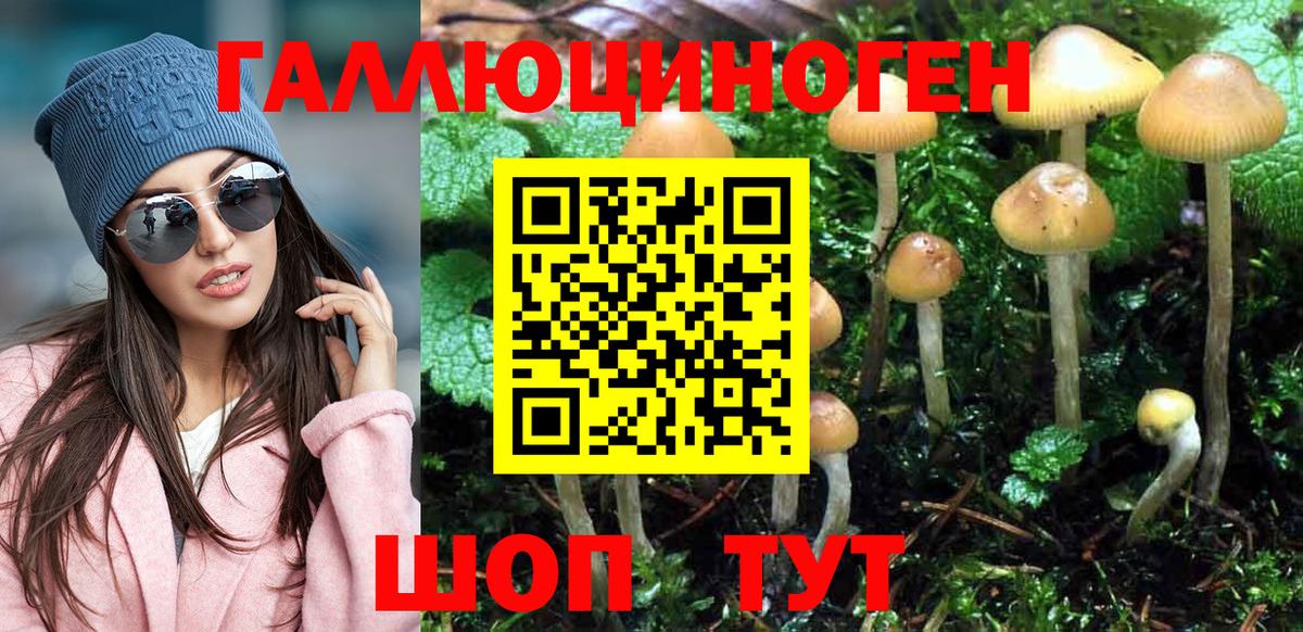 Псилоцибиновые грибы прущие грибы  Галлюциногенные грибы ЛСД  Ачинск  Вход с VPN 
